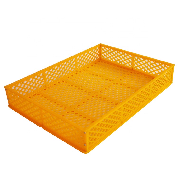 Basket e Qhotsisetsang e Tšehla